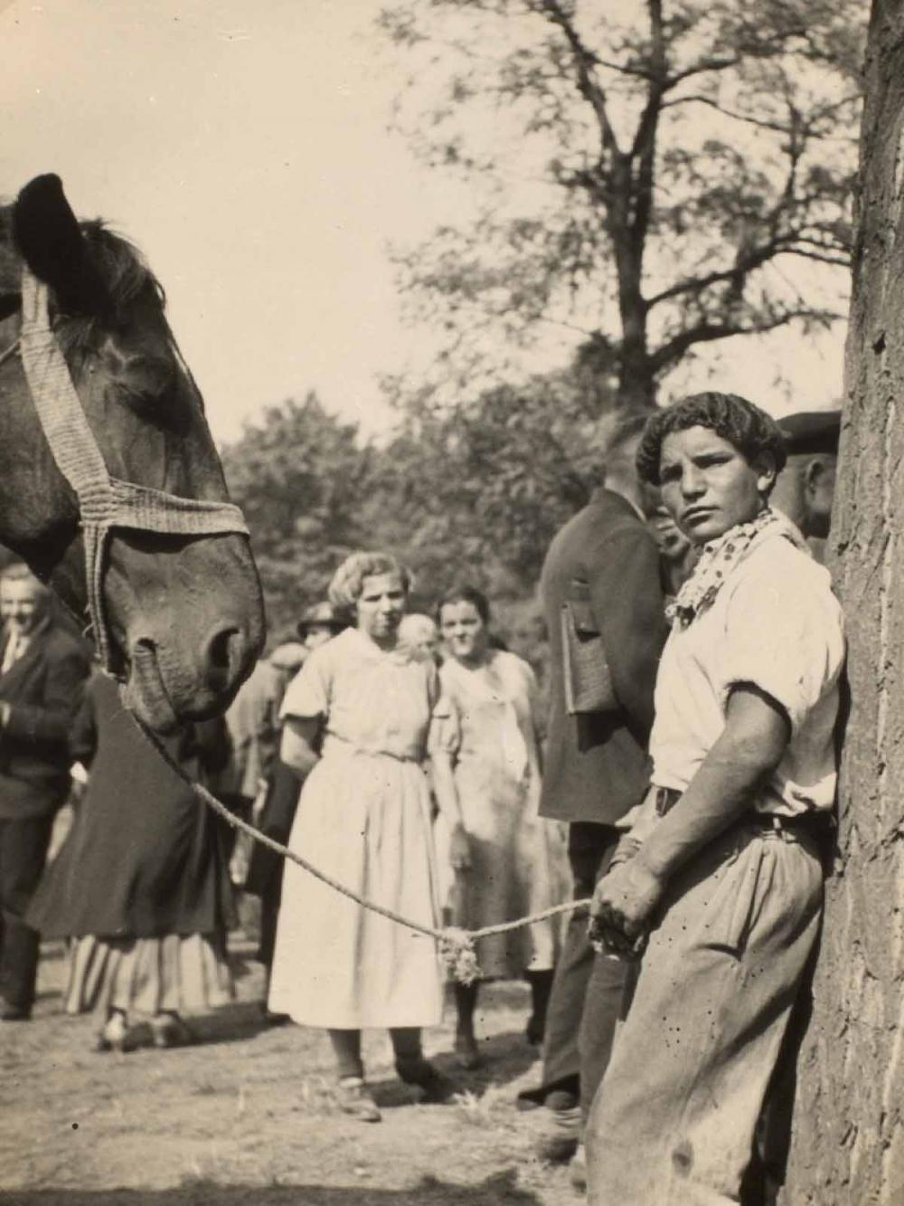 German horse fair, 1935. Liverpool University Library Special Collections